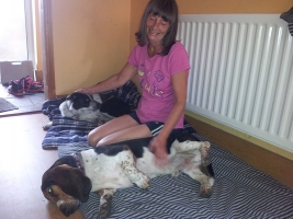 dog-boarding-hampshire-3