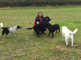 dog-walking-hampshire-4